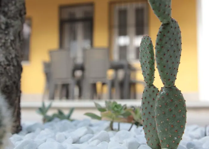 דירה Agas Exclusive קטנזארו